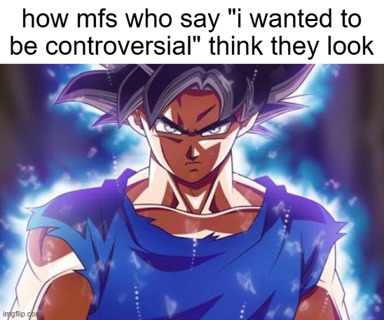 Goku ultra instinct | how mfs who say "i wanted to be controversial" think they look | image tagged in goku ultra instinct | made w/ Imgflip meme maker