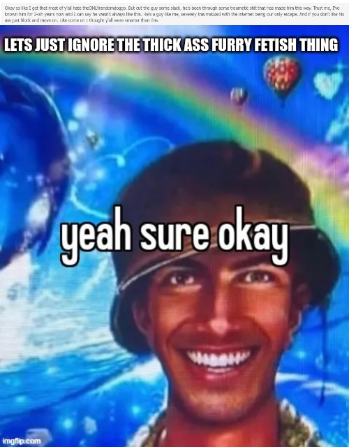 LETS JUST IGNORE THE THICK ASS FURRY FETISH THING | image tagged in yeah sure okay | made w/ Imgflip meme maker
