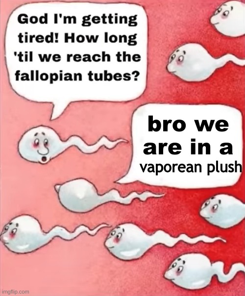 vaporean | bro we are in a; vaporean plush | image tagged in chat | made w/ Imgflip meme maker