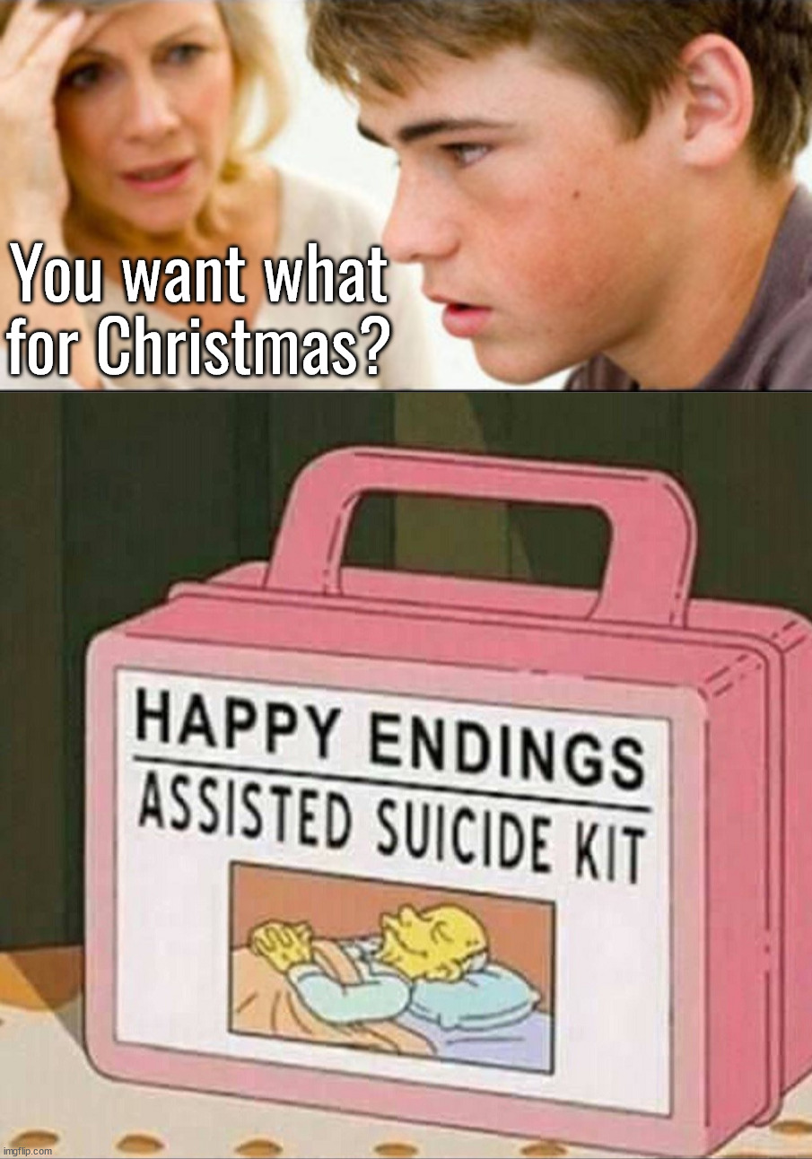 Great Christmas gift | You want what for Christmas? | image tagged in son and mom serious | made w/ Imgflip meme maker