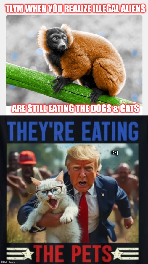 BUILD THE WALL DEPORT EM ALL | TLYM WHEN YOU REALIZE ILLEGAL ALIENS; ARE STILL EATING THE DOGS & CATS; DzJ | image tagged in illegal aliens,deportation,trump wall,now | made w/ Imgflip meme maker