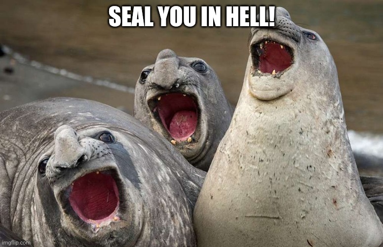 laughing seals | SEAL YOU IN HELL! | image tagged in laughing seals | made w/ Imgflip meme maker