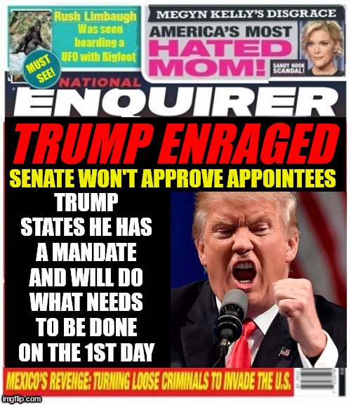 National Enquirer Trump's 1st Day | TRUMP ENRAGED; SENATE WON'T APPROVE APPOINTEES; TRUMP STATES HE HAS A MANDATE AND WILL DO WHAT NEEDS TO BE DONE ON THE 1ST DAY | image tagged in national enquirer trump's 1st day,rino maga former dino,cybercoin conn | made w/ Imgflip meme maker