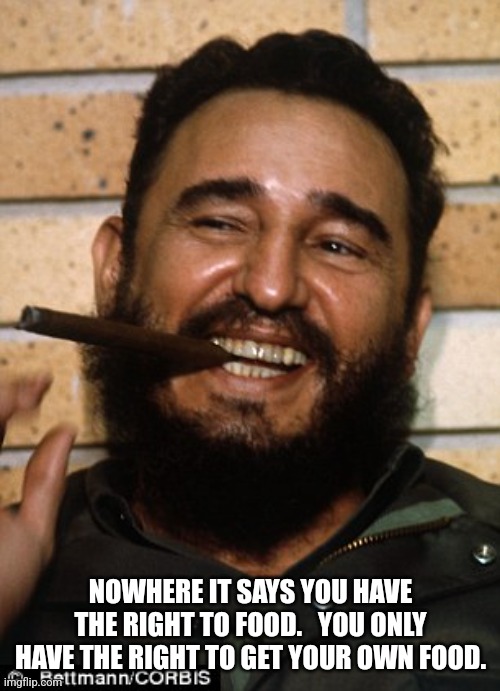 Fidel Castro | NOWHERE IT SAYS YOU HAVE THE RIGHT TO FOOD.   YOU ONLY HAVE THE RIGHT TO GET YOUR OWN FOOD. | image tagged in fidel castro | made w/ Imgflip meme maker