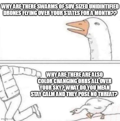 Goose Chase | WHY ARE THERE SWARMS OF SUV SIZED UNIDINTIFIED DRONES FLYING OVER YOUR STATES FOR A MONTH?? WHY ARE THERE ARE ALSO COLOR CHANGING ORBS ALL OVER YOUR SKY? WHAT DO YOU MEAN STAY CALM AND THEY POSE NO THREAT? | image tagged in goose chase | made w/ Imgflip meme maker