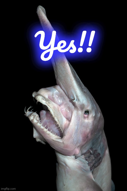 Deep sea fish | Yes!! | image tagged in deep sea fish | made w/ Imgflip meme maker