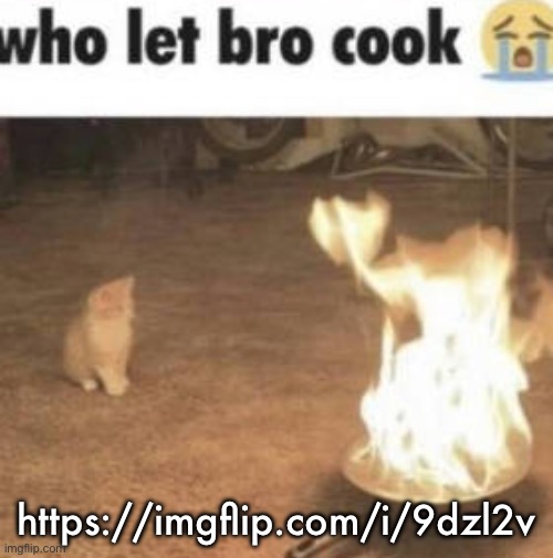 this fella so mentally cooked | https://imgflip.com/i/9dzl2v | image tagged in who let bro cook | made w/ Imgflip meme maker