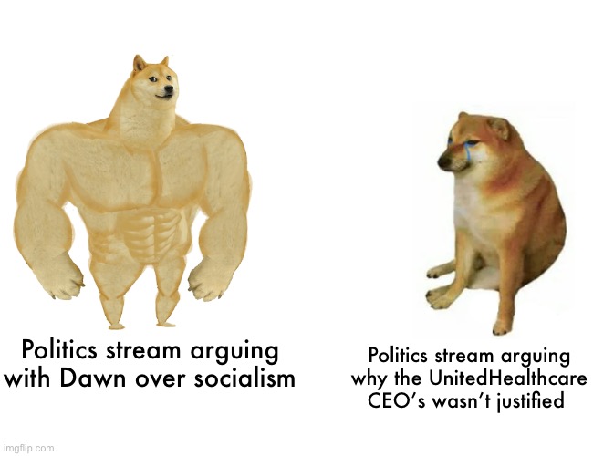 Buff Doge vs. Cheems | Politics stream arguing with Dawn over socialism; Politics stream arguing why the UnitedHealthcare CEO’s wasn’t justified | image tagged in memes,buff doge vs cheems | made w/ Imgflip meme maker