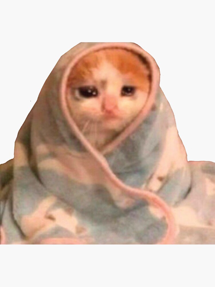 High Quality Sad cat blanket Blank Meme Template