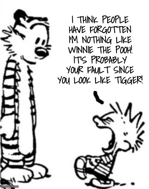 Nothing Like Winnie the Pooh | I THINK PEOPLE HAVE FORGOTTEN I'M NOTHING LIKE WINNIE THE POOH! IT'S PROBABLY YOUR FAULT SINCE YOU LOOK LIKE TIGGER! | image tagged in complaint,comics,calvin and hobbes | made w/ Imgflip meme maker