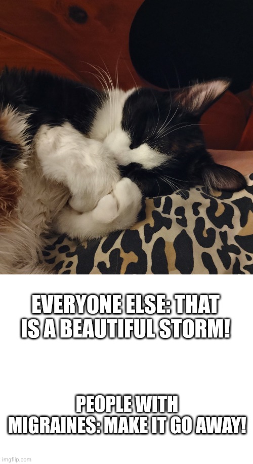 Make it go away! | EVERYONE ELSE: THAT IS A BEAUTIFUL STORM! PEOPLE WITH MIGRAINES: MAKE IT GO AWAY! | image tagged in memes | made w/ Imgflip meme maker