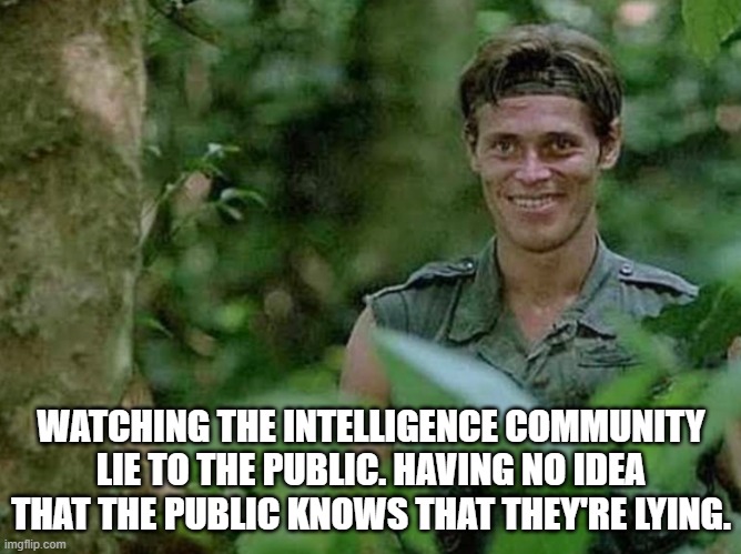 They really think you're stupid. | WATCHING THE INTELLIGENCE COMMUNITY LIE TO THE PUBLIC. HAVING NO IDEA THAT THE PUBLIC KNOWS THAT THEY'RE LYING. | image tagged in smiling | made w/ Imgflip meme maker