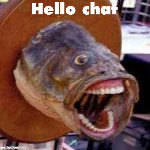 Pogfish | Hello chat | image tagged in pogfish | made w/ Imgflip meme maker