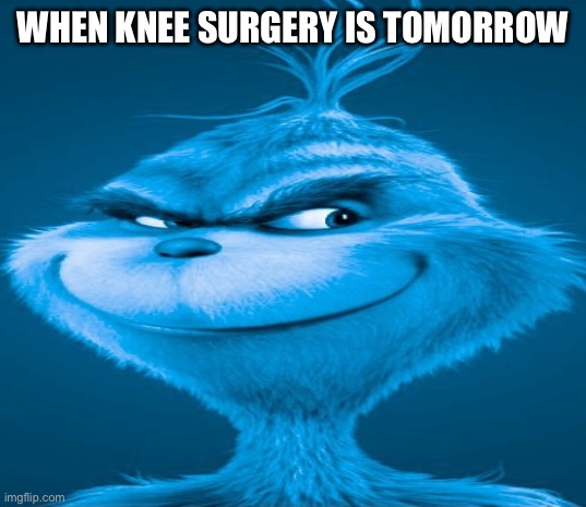 nicola | WHEN KNEE SURGERY IS TOMORROW | image tagged in blue grinch | made w/ Imgflip meme maker