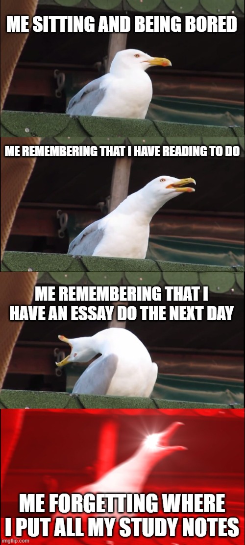 Inhaling Seagull | ME SITTING AND BEING BORED; ME REMEMBERING THAT I HAVE READING TO DO; ME REMEMBERING THAT I HAVE AN ESSAY DO THE NEXT DAY; ME FORGETTING WHERE I PUT ALL MY STUDY NOTES | image tagged in memes,inhaling seagull | made w/ Imgflip meme maker