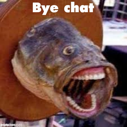 Pogfish | Bye chat | image tagged in pogfish | made w/ Imgflip meme maker