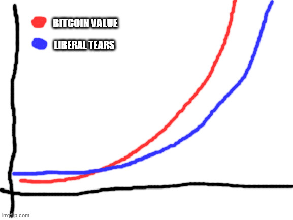 Blank White Template | LIBERAL TEARS BITCOIN VALUE | image tagged in blank white template | made w/ Imgflip meme maker