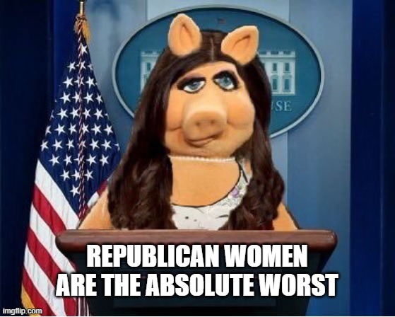 Republican Women | REPUBLICAN WOMEN ARE THE ABSOLUTE WORST | image tagged in republican,conservatives,nancy mace,majorie taylor greene,white woman | made w/ Imgflip meme maker