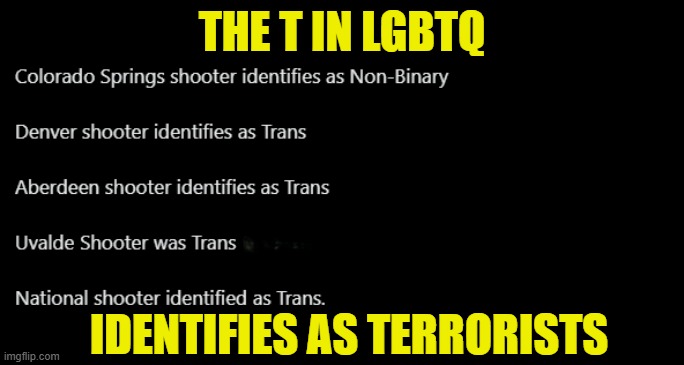 Mass Shooter Identities | THE T IN LGBTQ; IDENTIFIES AS TERRORISTS | image tagged in non binary,transgender,crossdresser,mass shooting,mass shootings,killer | made w/ Imgflip meme maker