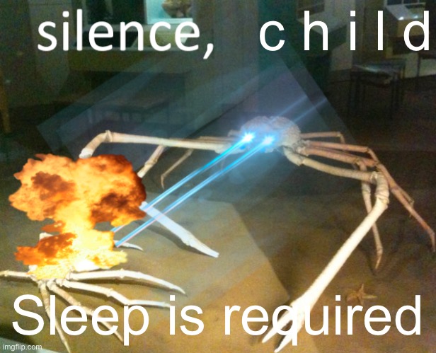 Seriously, get some sleep. The lot of ya | c h i l d; Sleep is required | image tagged in silence crab | made w/ Imgflip meme maker