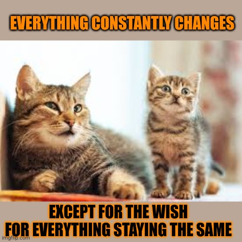 This #lolcat why hoo-mens want to hold on to the impossible | EVERYTHING CONSTANTLY CHANGES; EXCEPT FOR THE WISH 
FOR EVERYTHING STAYING THE SAME | image tagged in conservatives,lolcat,change,stupid people | made w/ Imgflip meme maker