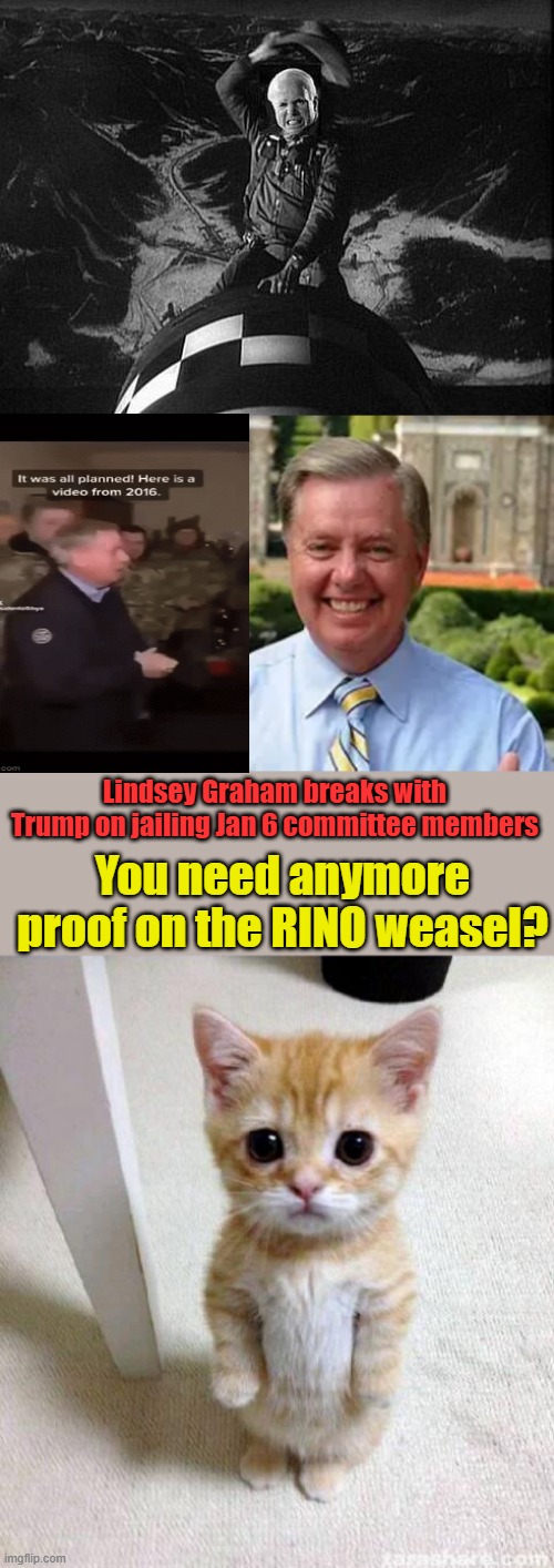 Remember TRUMP how LINseed and MC Stain helped in starting Ukrain War, I think RUBIO was all in also?MSM cover up wing NWO | Lindsey Graham breaks with Trump on jailing Jan 6 committee members; You need anymore proof on the RINO weasel? | image tagged in memes,cute cat | made w/ Imgflip meme maker