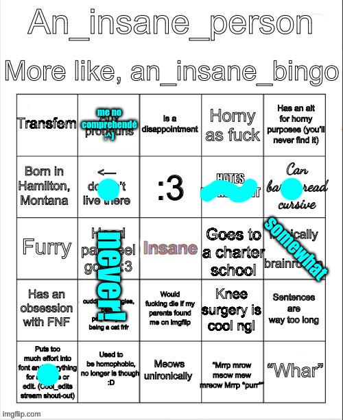 An_insane_bingo (December 2024) | me no comprehendé :^); never! somewhat | image tagged in an_insane_bingo december 2024 | made w/ Imgflip meme maker