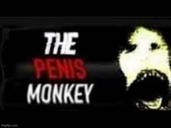 penis monkey | image tagged in penis monkey | made w/ Imgflip meme maker