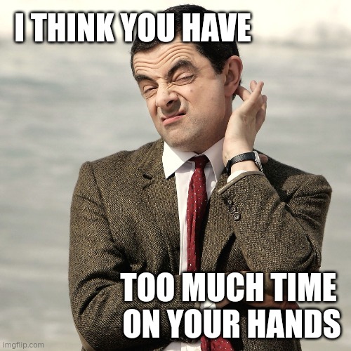 Mr bean meme | I THINK YOU HAVE; TOO MUCH TIME 
ON YOUR HANDS | image tagged in mr bean meme | made w/ Imgflip meme maker