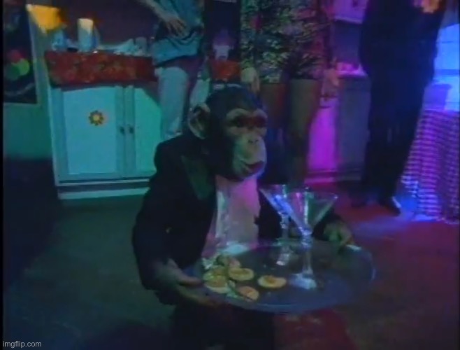 Monke waiter Haven’t got a clue | image tagged in monke waiter | made w/ Imgflip meme maker