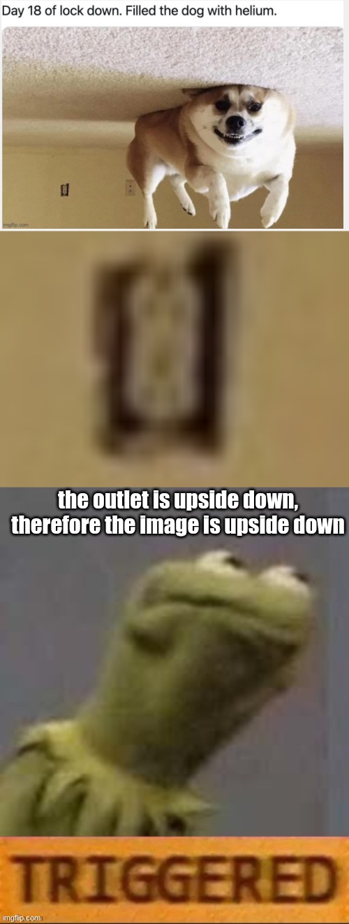 Wait, wheres the Helium? WHERE IS THE HELIUM?! | the outlet is upside down, therefore the image is upside down | image tagged in kermit triggered | made w/ Imgflip meme maker