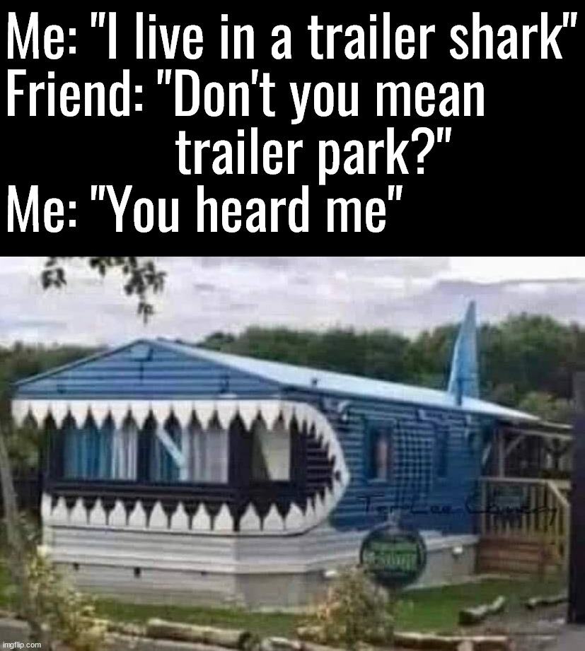 Is that a shark or something? | Me: "I live in a trailer shark"

Friend: "Don't you mean 
             trailer park?"

Me: "You heard me" | image tagged in trailer park,shark,living the dream | made w/ Imgflip meme maker