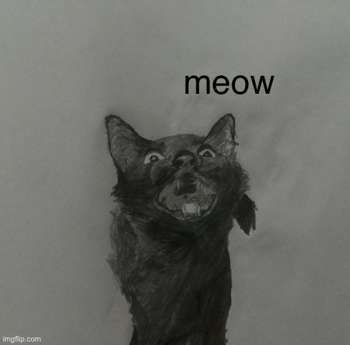 ioh | meow | image tagged in cats | made w/ Imgflip meme maker