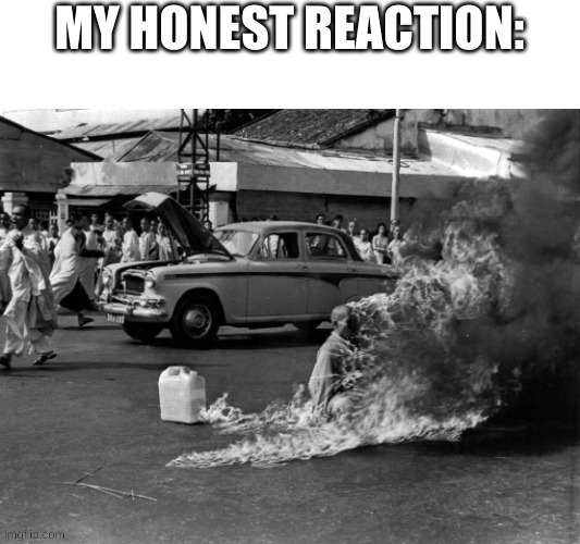 my honest reaction | image tagged in my honest reaction | made w/ Imgflip meme maker