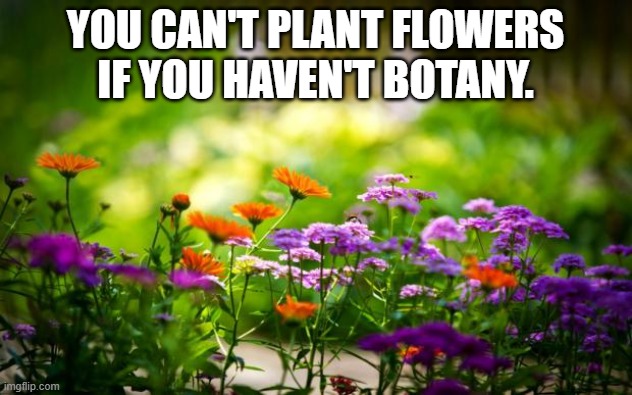 Daily Bad Dad Joke December 17, 2024 | YOU CAN'T PLANT FLOWERS IF YOU HAVEN'T BOTANY. | image tagged in flowers | made w/ Imgflip meme maker