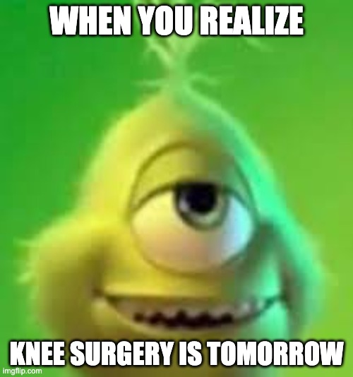 ai lol | WHEN YOU REALIZE; KNEE SURGERY IS TOMORROW | image tagged in grinch wazowski,memes,funny,knee surgery | made w/ Imgflip meme maker