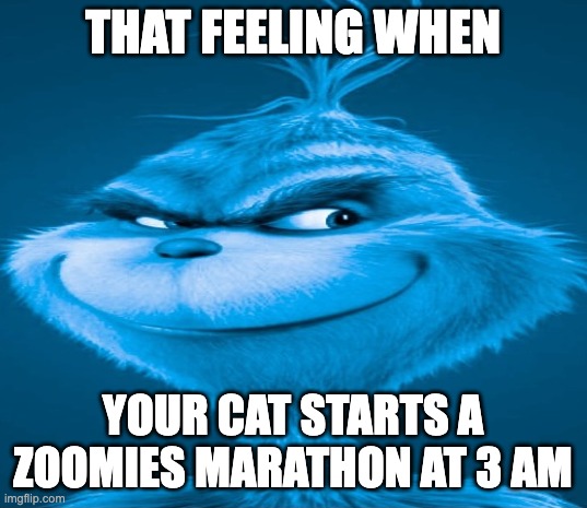 ai lol | THAT FEELING WHEN; YOUR CAT STARTS A ZOOMIES MARATHON AT 3 AM | image tagged in blue grinch,memes,funny,knee surgery | made w/ Imgflip meme maker