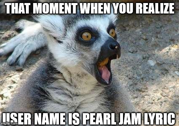 not favorite band either | THAT MOMENT WHEN YOU REALIZE; USER NAME IS PEARL JAM LYRIC | image tagged in that moment when | made w/ Imgflip meme maker