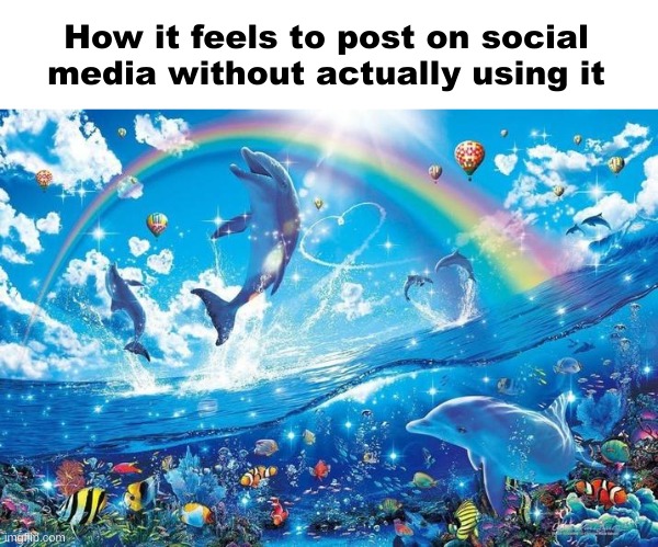 It's like reverse lurking. I don't think there's a word for that | How it feels to post on social media without actually using it | image tagged in happy dolphin rainbow | made w/ Imgflip meme maker