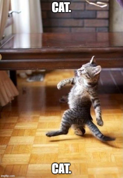 Cool Cat Stroll Meme | CAT. CAT. | image tagged in memes,cool cat stroll | made w/ Imgflip meme maker