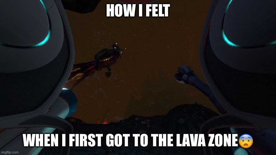 Yea I’m pretty sure i dont know what I’m doing | HOW I FELT; WHEN I FIRST GOT TO THE LAVA ZONE😨 | image tagged in subnautica leviathan class | made w/ Imgflip meme maker