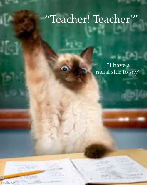 Mew | “Teacher! Teacher!”; “I have a racial slur to say” | image tagged in raised hand cat | made w/ Imgflip meme maker