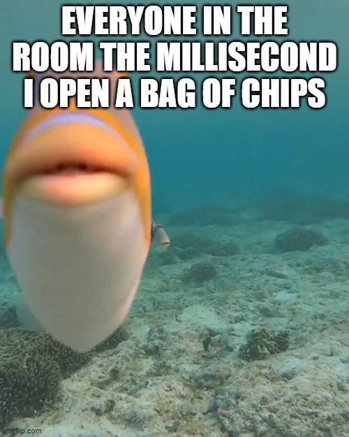 pov you open up chips | EVERYONE IN THE ROOM THE MILLISECOND I OPEN A BAG OF CHIPS | image tagged in staring fish | made w/ Imgflip meme maker