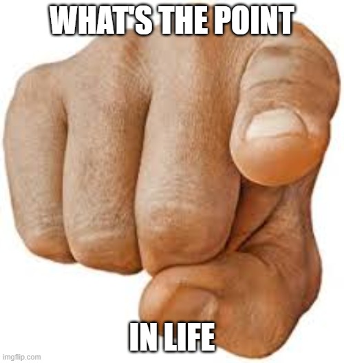 What's the point | WHAT'S THE POINT; IN LIFE | image tagged in point | made w/ Imgflip meme maker