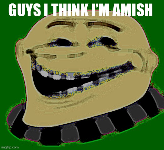 Gru troll face | GUYS I THINK I’M AMISH | image tagged in gru troll face | made w/ Imgflip meme maker