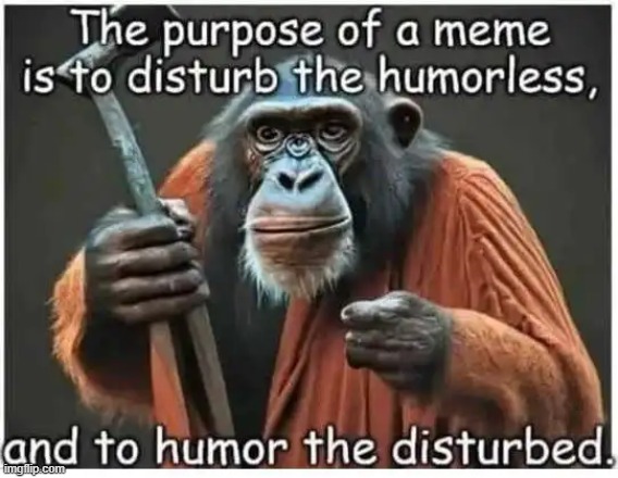 In a nutshell | image tagged in a meme,meming,purpose,what is my purpose,making memes,meme maker | made w/ Imgflip meme maker