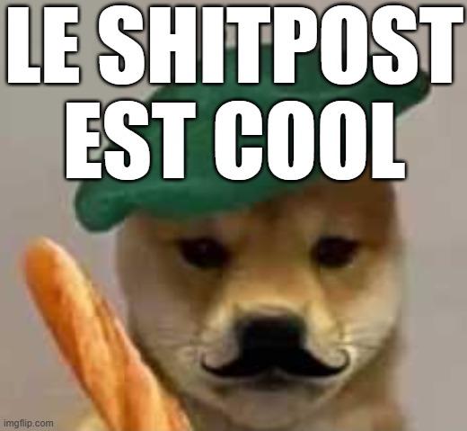 French Doge | LE SHITPOST EST COOL | image tagged in french doge | made w/ Imgflip meme maker