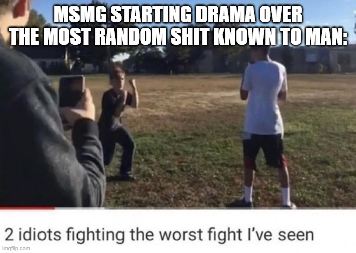 two idiots fighting | MSMG STARTING DRAMA OVER THE MOST RANDOM SHIT KNOWN TO MAN: | image tagged in two idiots fighting | made w/ Imgflip meme maker