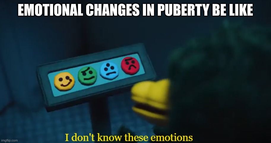 I Don’t Know These Emotions | EMOTIONAL CHANGES IN PUBERTY BE LIKE | image tagged in i don t know these emotions | made w/ Imgflip meme maker