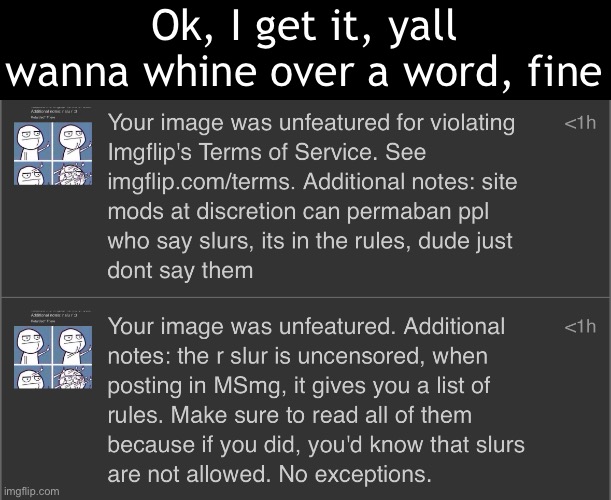Literally the dumbest shit known to mankind, but ok | Ok, I get it, yall wanna whine over a word, fine | made w/ Imgflip meme maker